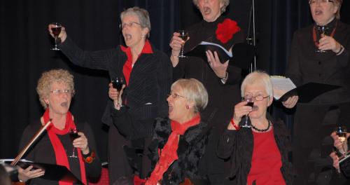 Vox2010_CCD_Deurne_DSC_0082