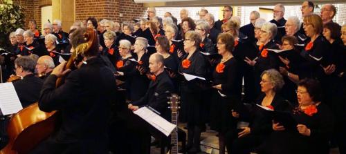 voxHelmond2017DSC04737